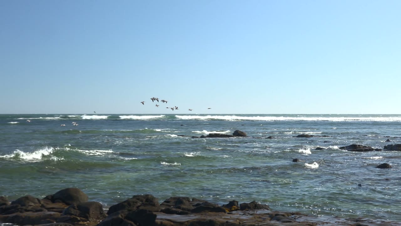Wide view of birds flying over blue ocean waves and dark shoreline rocks in La Bocana, Baja California Sur, with no visible people.