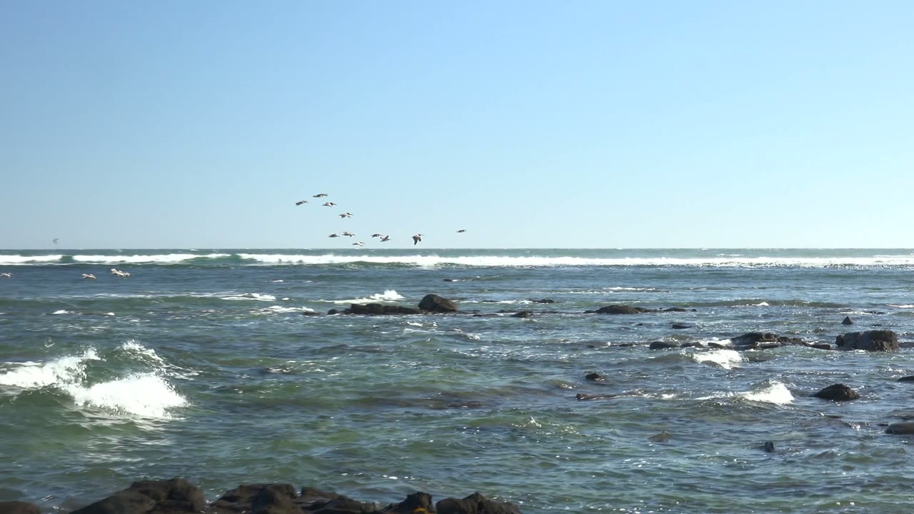 Ocean whitecaps breaking around rocks with birds near the horizon