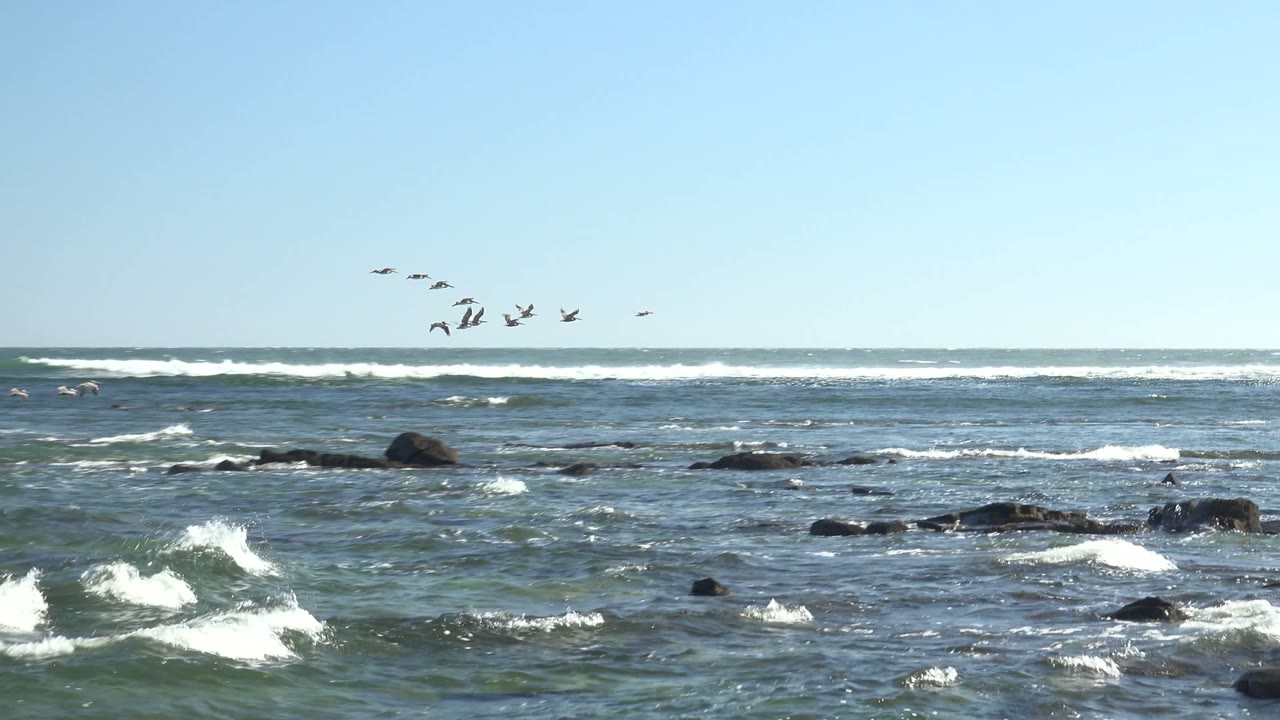 A small flock flies over choppy blue-green water and scattered black rocks off La Bocana, with white surf lines and no visible people.