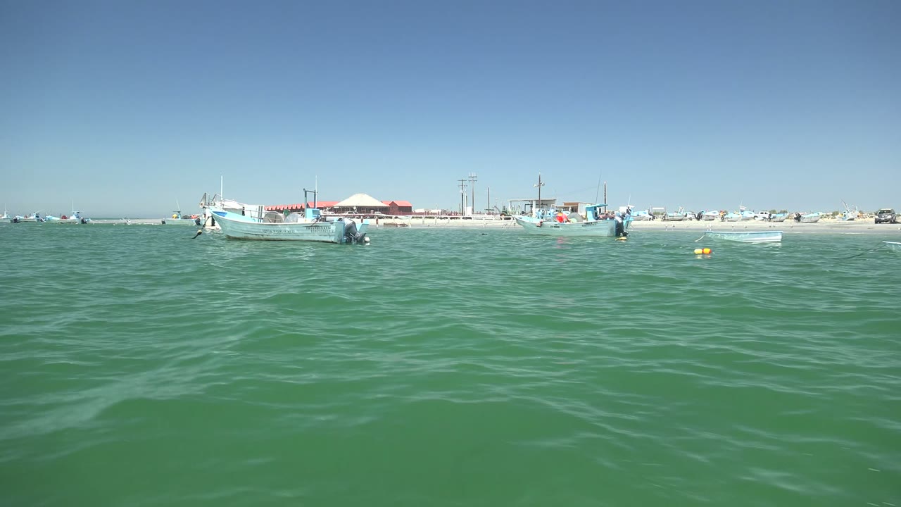 Small blue boat floating beyond rippled green water