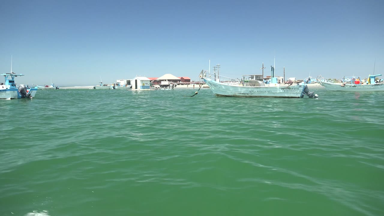 Pale fishing boat at anchor with shoreline structures behind it.