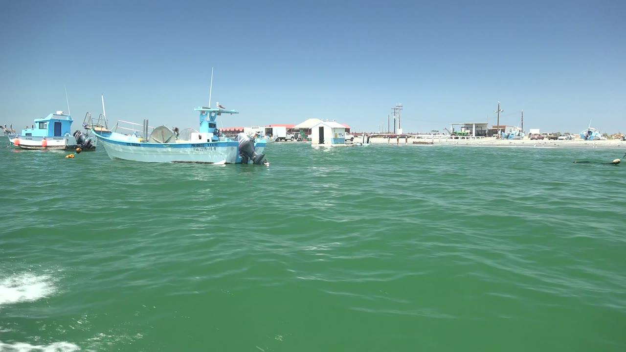 Small blue and white fishing boats sit on green water near the La Bocana shoreline in Baja California Sur, with low buildings in the distance and no visible people.