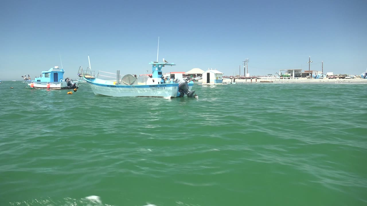 Two small fishing boats drifting near shore buildings on green water