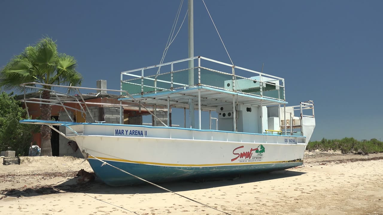 Tour boat on sand with rope in the foreground and beach vegetation behind