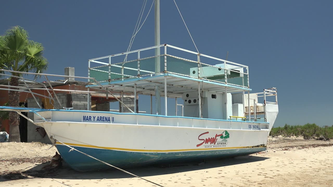 A broadside view of the white and pale blue boat on the San Carlos sandy shoreline shows the upper railings, shaded deck, side logo, low vegetation, and no visible people.