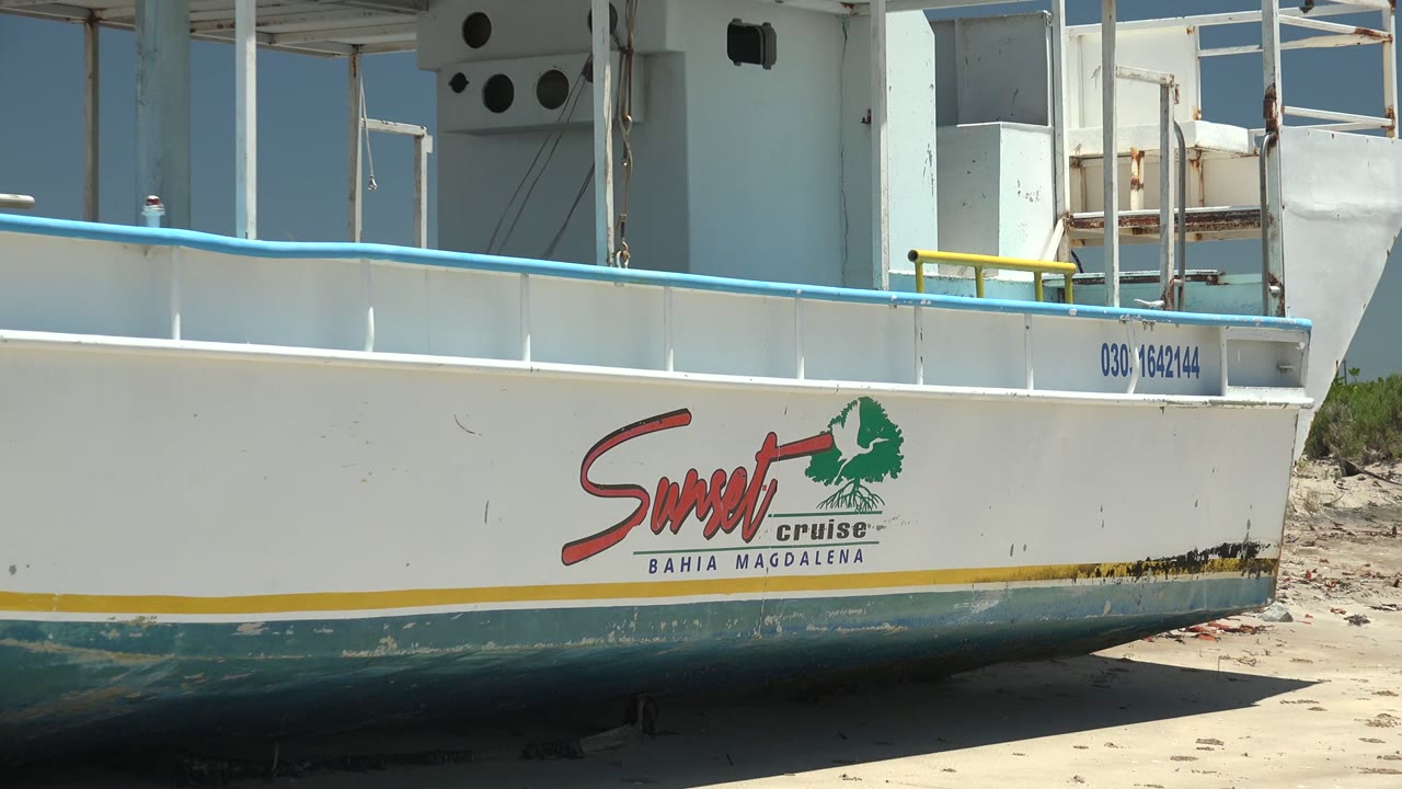A tighter frame shows the Sunset Cruise mark centered on the white hull in San Carlos, with blue trim above, sand below, and no visible people.