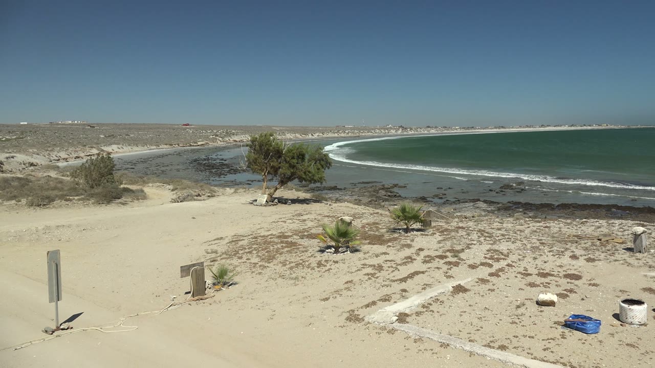 Sandy beach foreground with low vegetation, tree, ocean waves, and blue container.