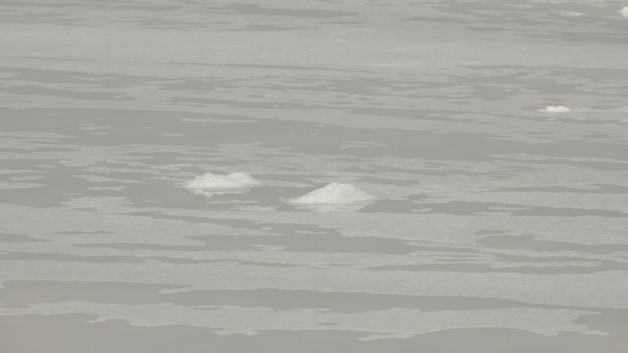 Gray ocean water in Guerrero Negro, Baja California Sur, with scattered small white ice floes near the upper part of the frame and no visible people.