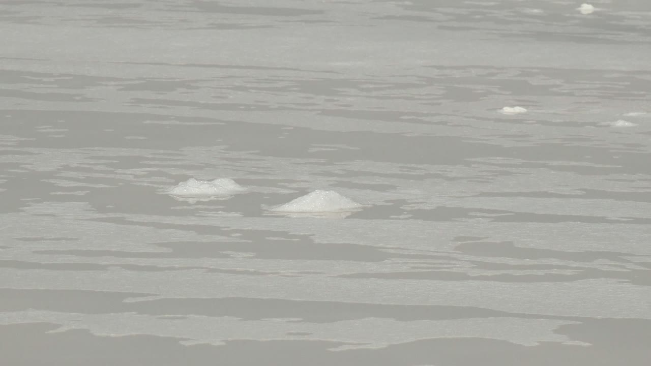 Small ice floes on rippled gray water.
