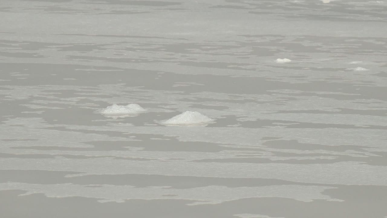 A few brighter white ice pieces punctuate the flat gray ocean surface in Guerrero Negro, Baja California Sur, with no visible people.