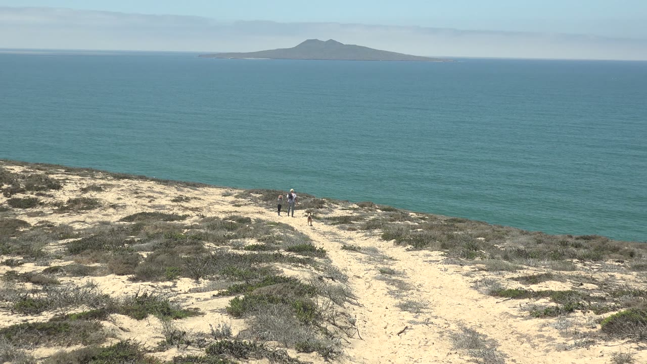 A person and dog walk on a pale sandy path through low dry vegetation in San Quintin, Mexico, with blue ocean and distant islands on the horizon.