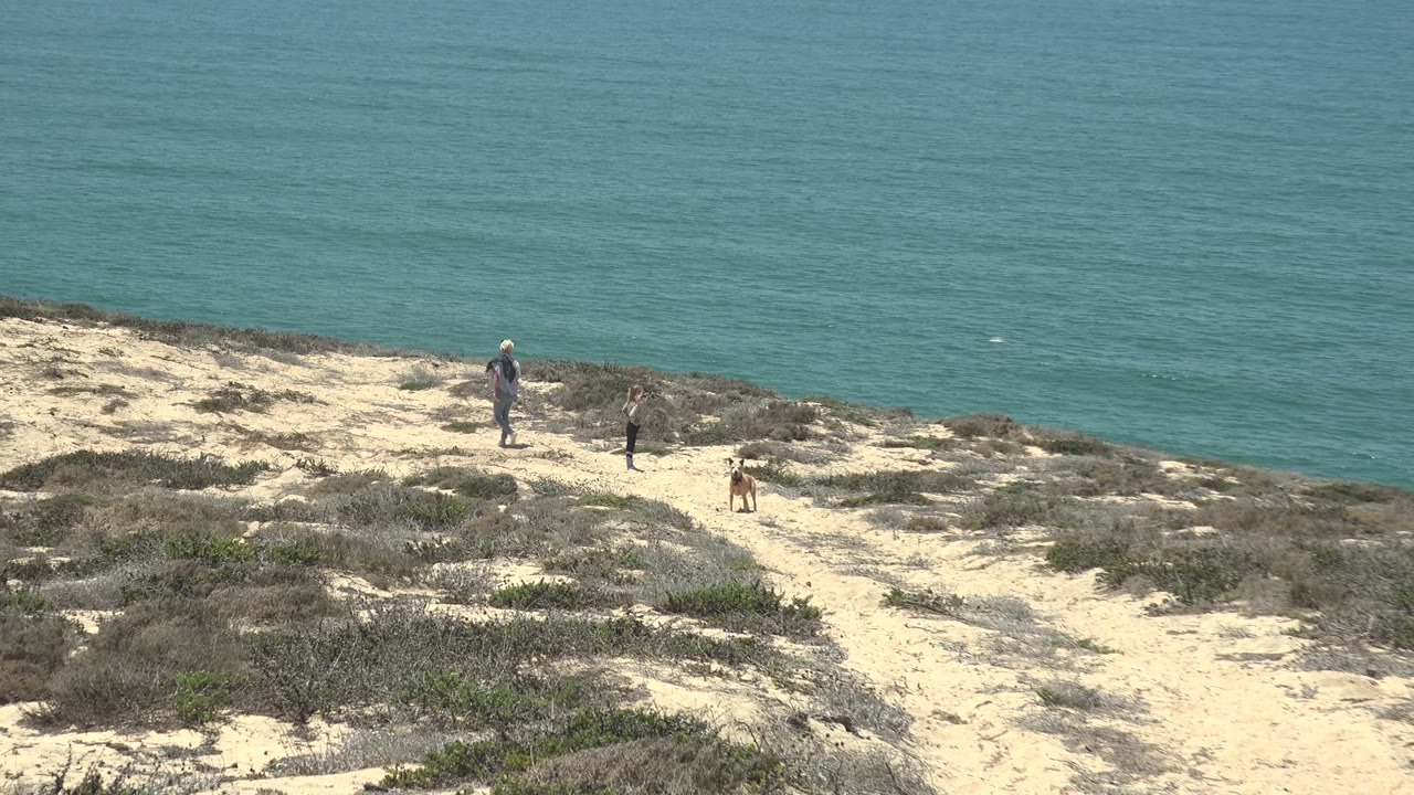 Three people and a tan dog walk along a sandy coastal trail in San Quintin, Mexico, with low scrub and blue ocean behind them at the start of the clip.