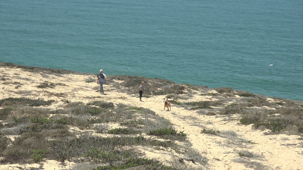 Small group walking on a sandy trail near the ocean.