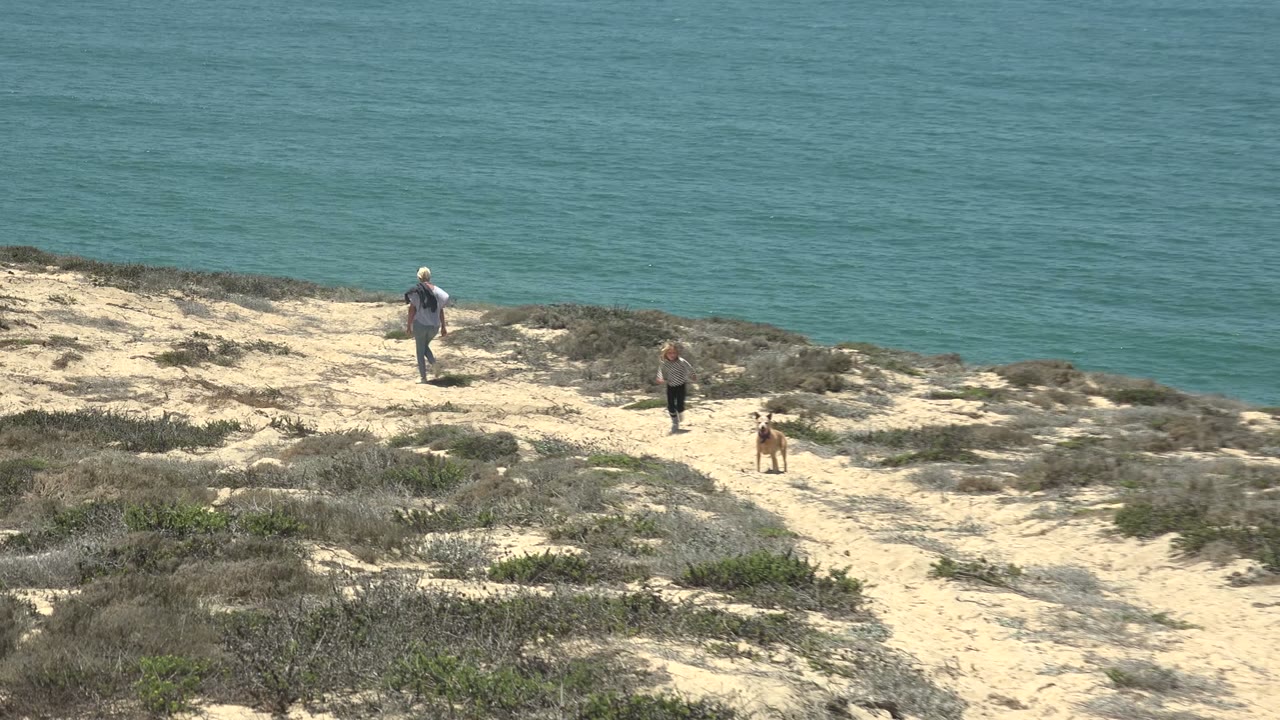 The group advances on the sandy San Quintin coastal trail, with the adult at upper left, a smaller person near the center, and the tan dog near the lower right against the ocean backdrop.