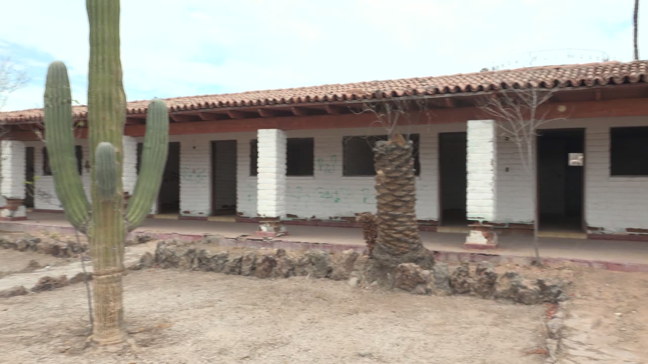 Opening frame in Mulege, Baja California Sur, with a tall cactus at left, a white building with dark doors, red tile roof, sandy courtyard, low stone border, and no visible people.
