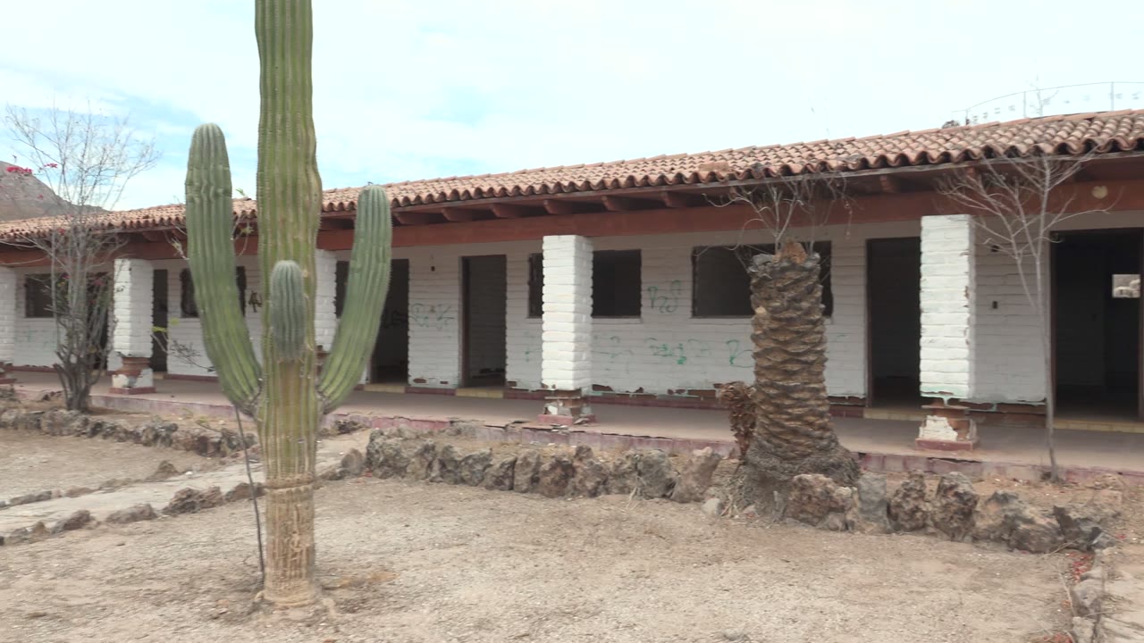 White courtyard building with cactus trunks and low stone border