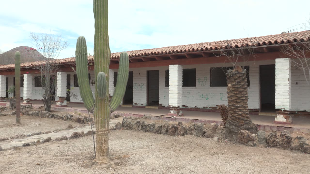 A Mulege desert courtyard frame shows multiple cacti in front of a white building with a red tile roof, dark openings, sandy ground, stone borders, and no visible people.