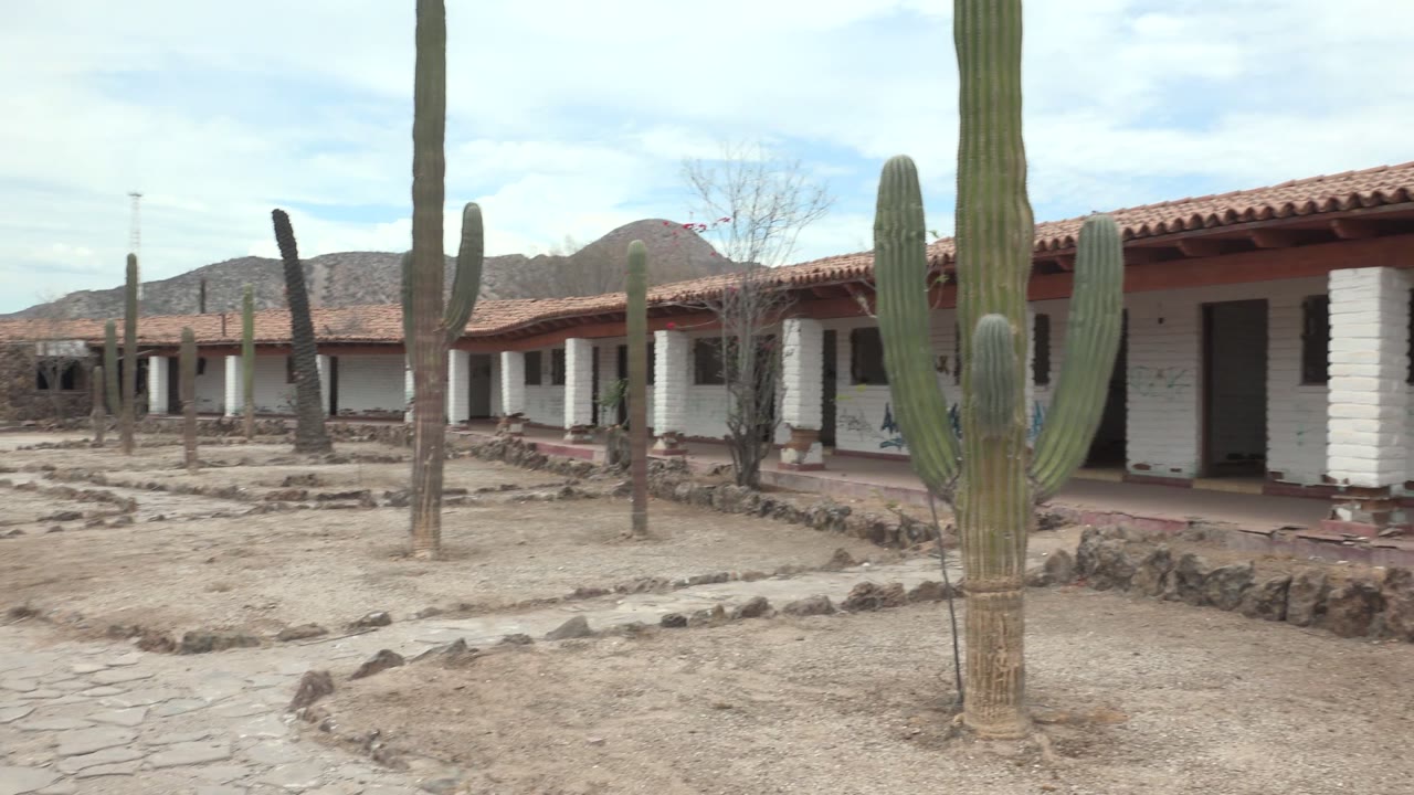 Opening view of a Mulege, Baja California Sur courtyard with tall cacti, stone paths, white walls, red tile roofs, distant hills, and no visible people.