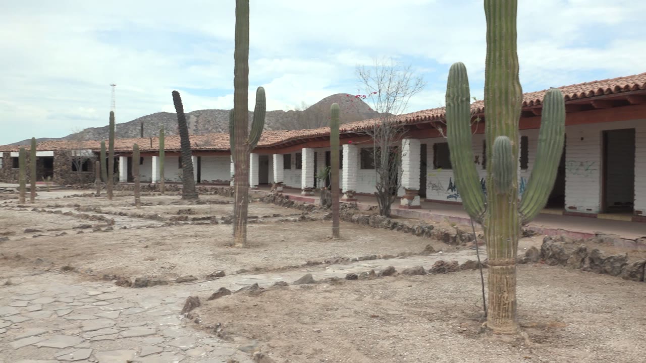 Saguaro-like cactus centered beside stone paths and red-roofed buildings.