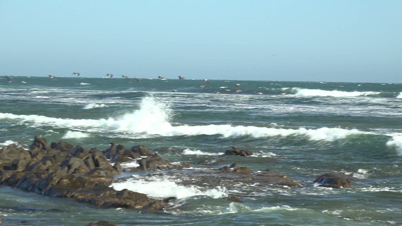 Foamy breakers hit a central cluster of dark coastal rocks at La Bocana, Baja California Sur, Mexico, while small seabirds cross the upper surf line and no people are visible.