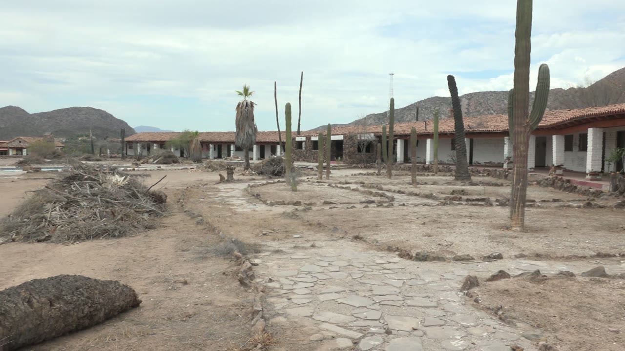 Mid-pan frame in Mulege with a tall cactus near center, red-tiled rooflines behind it, sandy open ground, brush piles, distant hills, and no visible people.