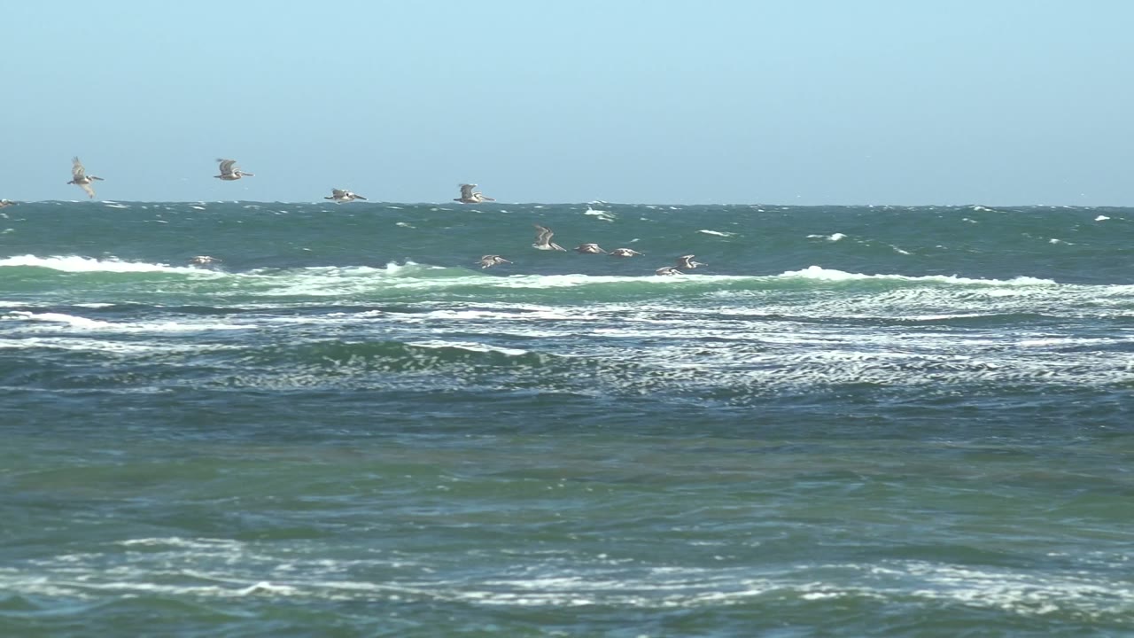 Seabirds fly across blue-green surf and whitecaps at La Bocana, Baja California Sur, with pale sky above and no visible people.