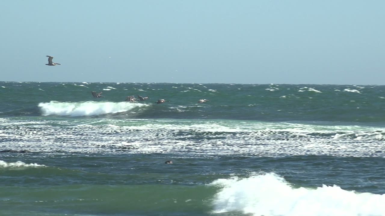 Wide view of La Bocana ocean surf with white foam bands, seabirds near the horizon, green water, clear blue sky, and tiny distant figures in the sea.