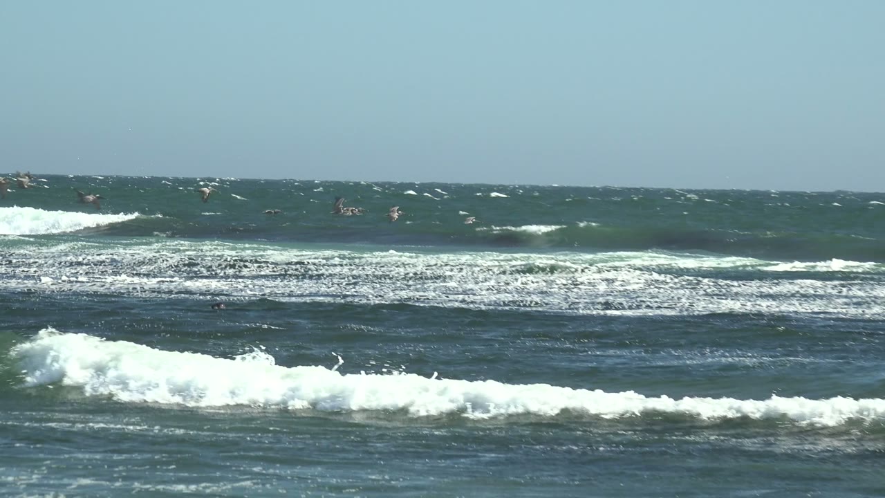 Foamy green waves rolling beneath a clear sky.