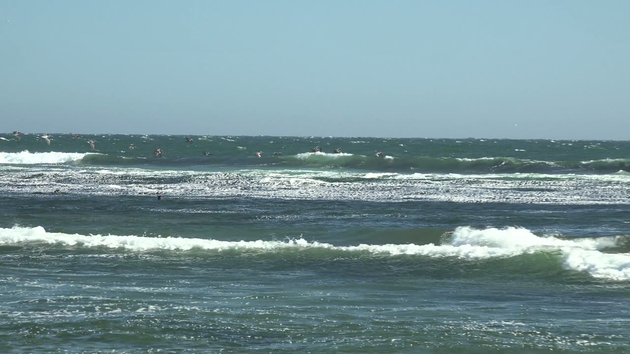 White breakers move across the La Bocana horizon while seabirds fly over the sea and tiny distant swimmers or surfers appear as dark shapes among the waves.