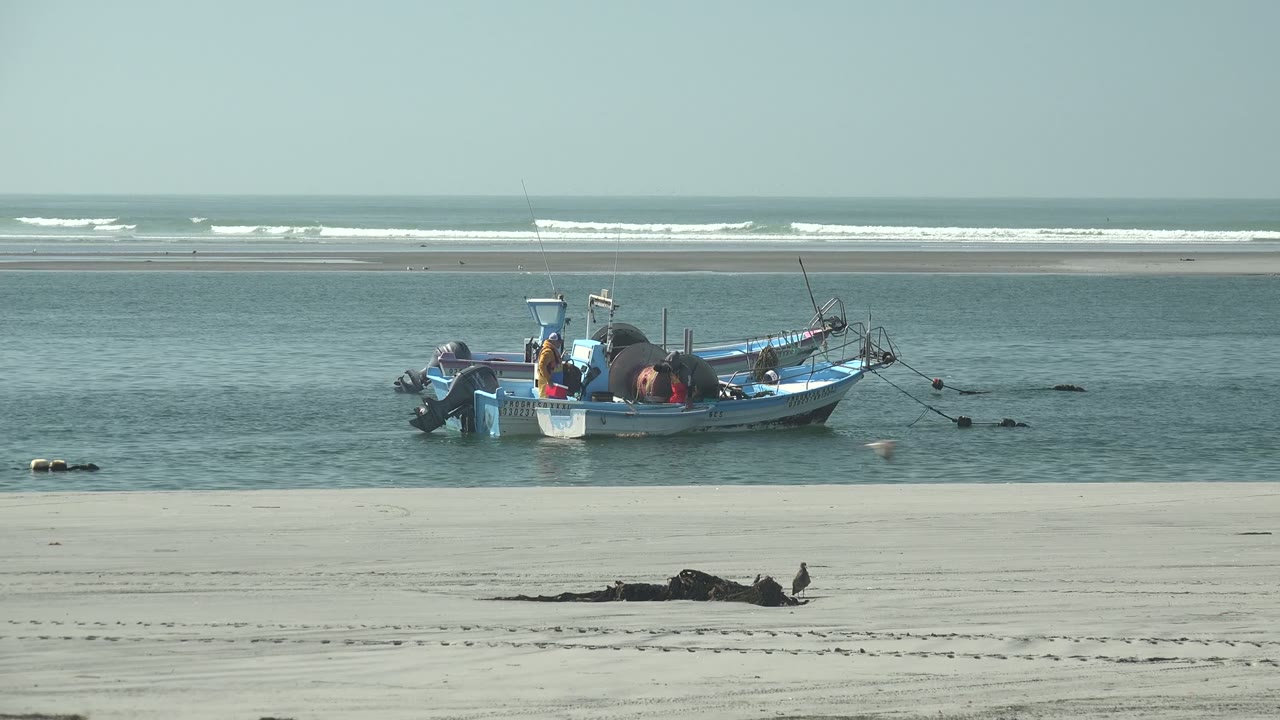 A blue fishing boat rests in shallow water off La Bocana while a small shorebird stands near dark seaweed on the sandy foreground, with no visible people.