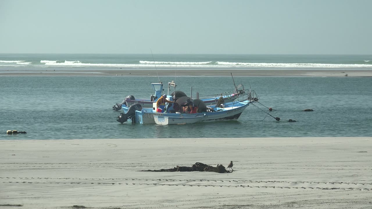 Fishing boat in calm water with a shorebird moving across the sand.