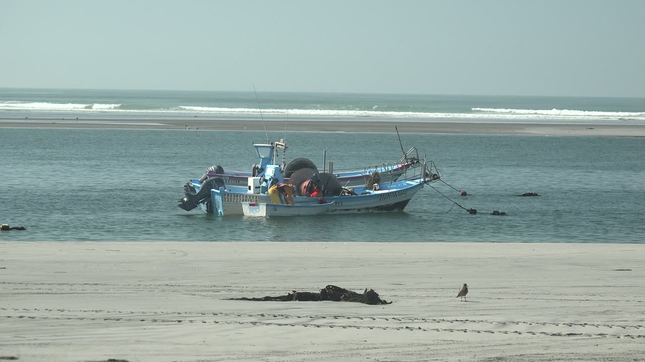 Fishing boat drifting in shallow water beside pale sand.