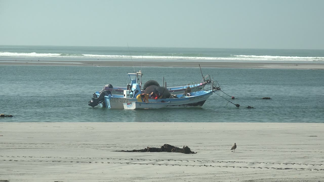 A blue fishing boat rests on calm water near La Bocana's sandy beach, with a small bird on the sand, dark debris in the foreground, and no visible people.