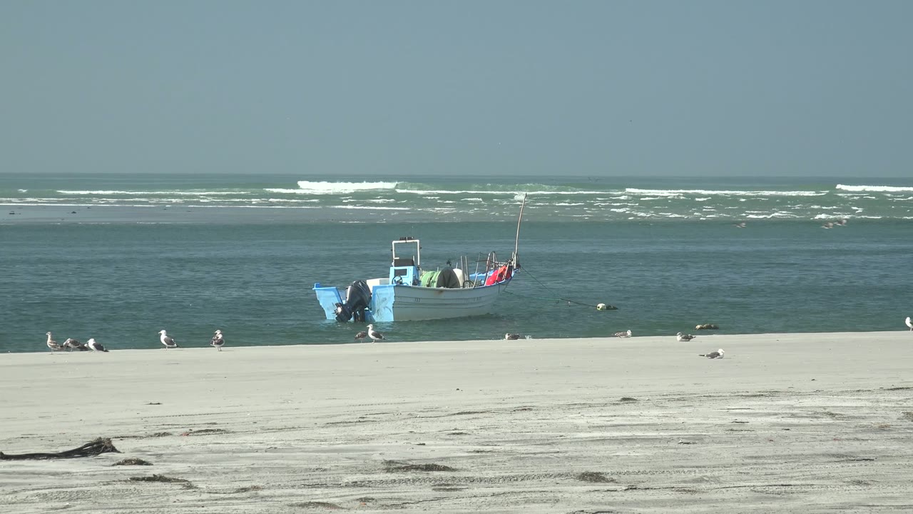 A blue boat sits near the waterline at La Bocana with seagulls scattered on pale sand, ocean surf bands in the background, and no visible people.
