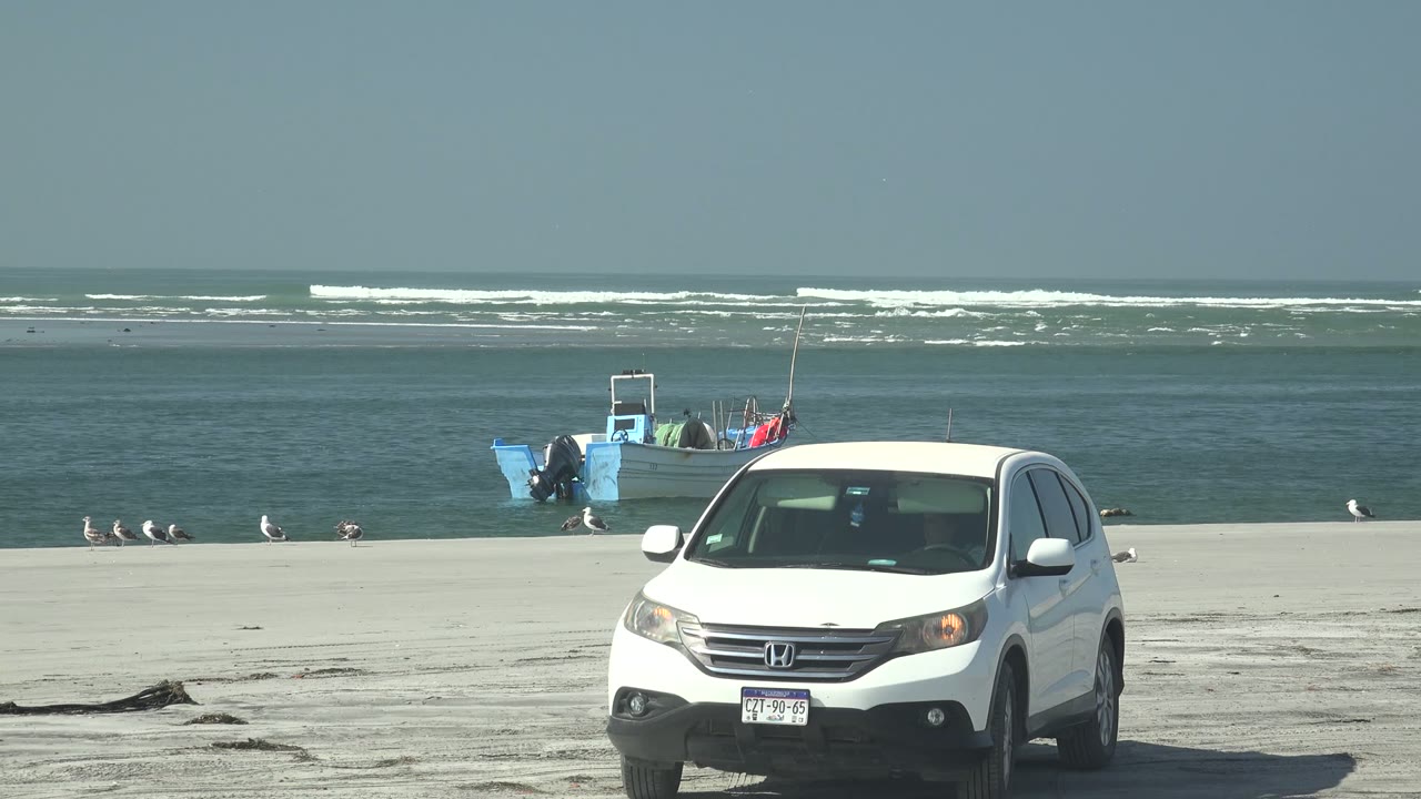 White SUV moving left across sand with boat, gulls, surf, and clear sky.