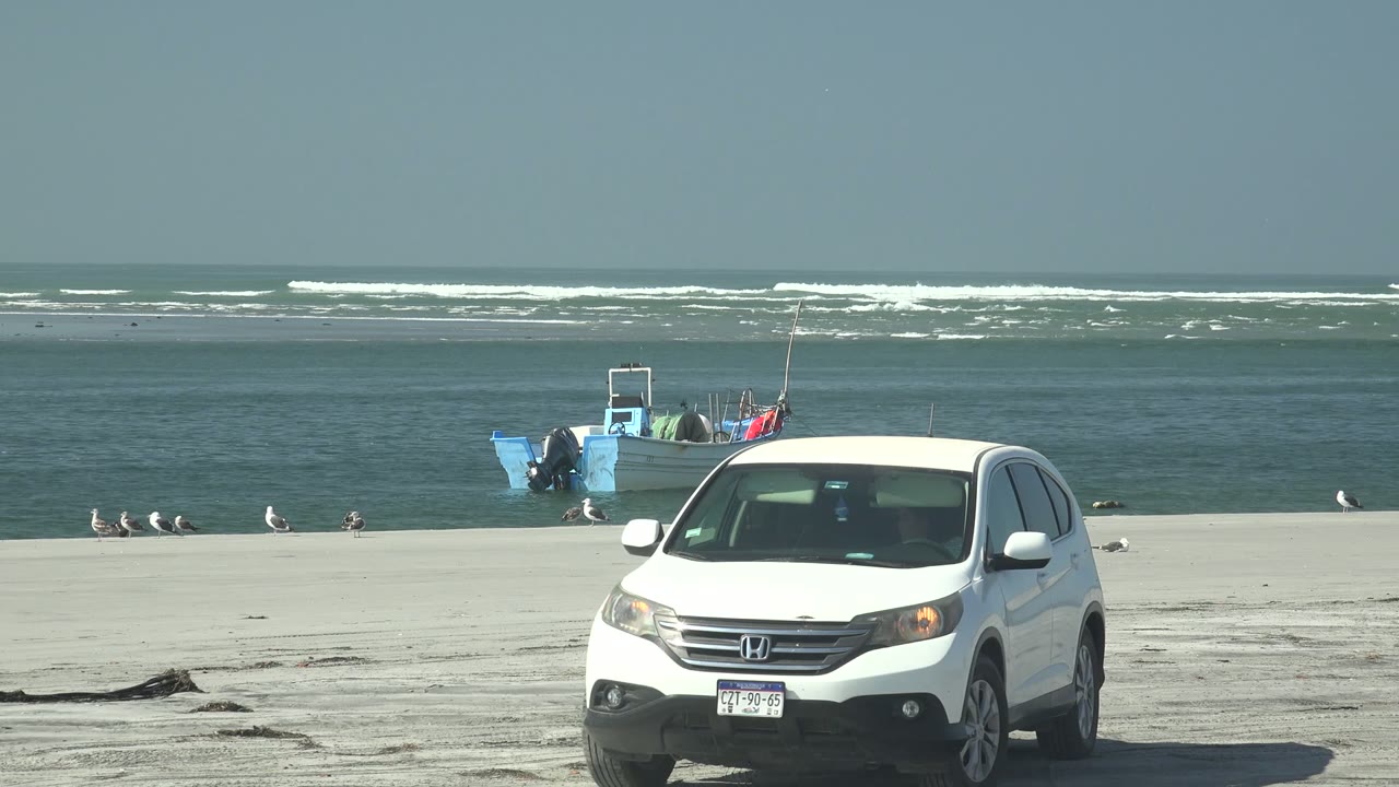 The white Honda SUV is farther left in the La Bocana beach frame, partly angled toward the camera, with the anchored blue boat, scattered gulls, ocean bands, and no visible people in view.