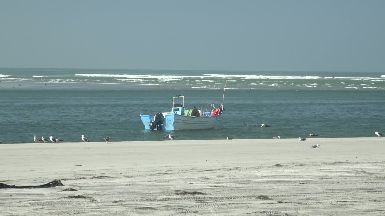 A small blue and white fishing boat floats near shore at La Bocana, Baja California Sur, with seagulls scattered across the pale sand and no visible people.