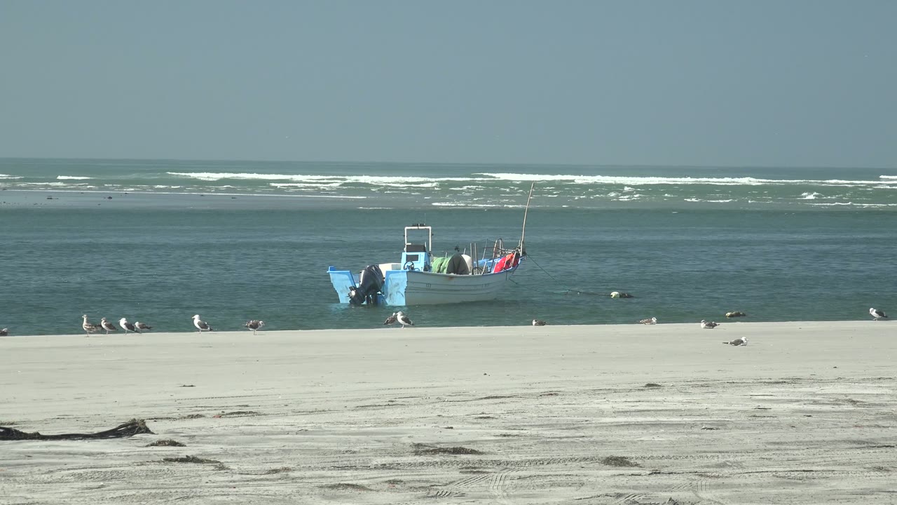 Blue and white fishing boat near shore with birds along the sand.