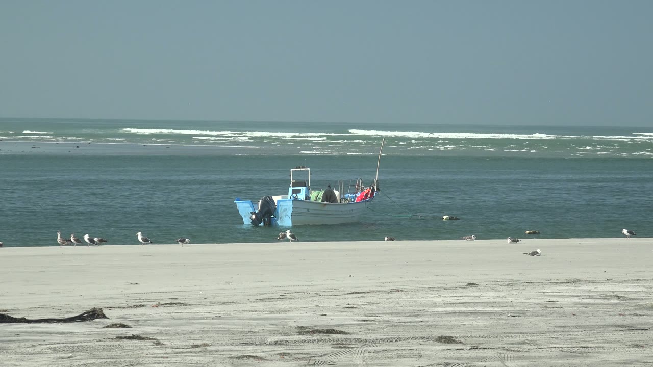 A small boat with blue trim floats on calm coastal water at La Bocana while seagulls dot the foreground sand and surf rolls in the distance, with no visible people.