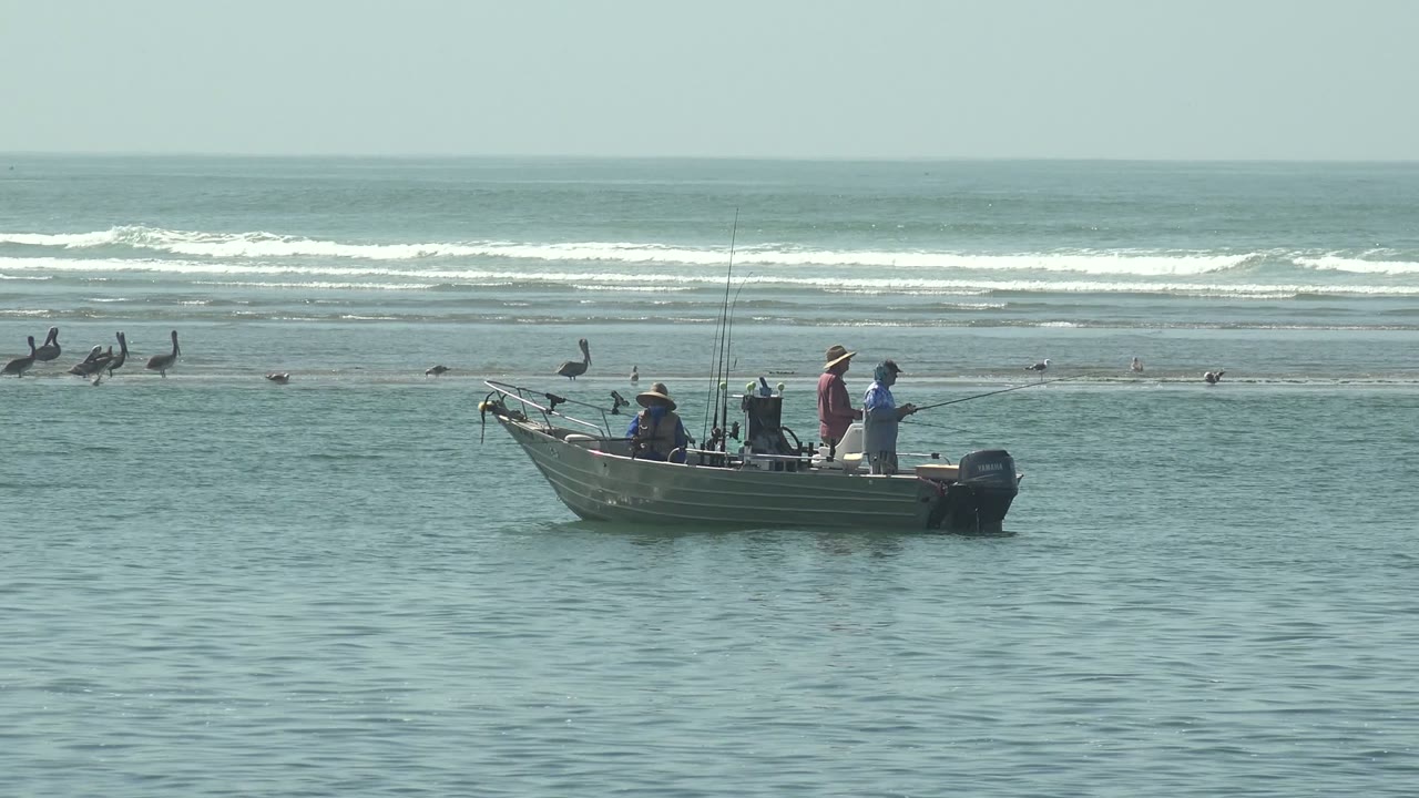 Anglers on a small boat with fishing rods and pelicans near the shoreline.