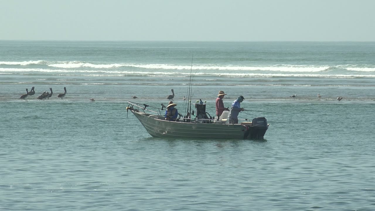 At 0:02 in La Bocana, Baja California Sur, the boat appears farther right in the frame, with anglers visible beside vertical rods and birds scattered across the shallow water near shore.