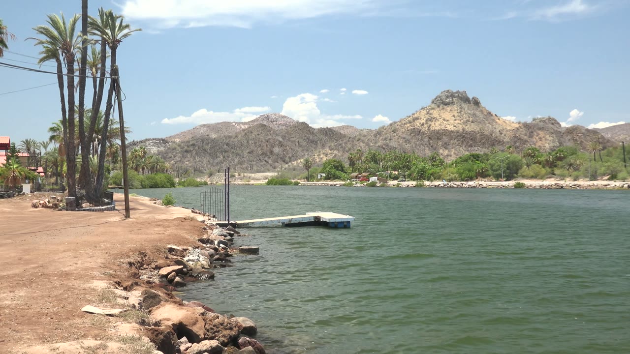 Palm-lined dirt shore beside rippling water and a small dock.