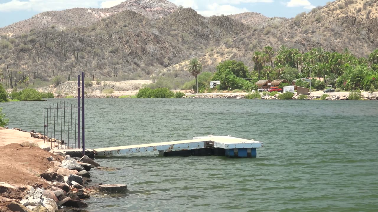The dock sits farther right in the frame as small ripples move across green water, with rocks in the foreground and Mulege palms and hills behind it, no visible people.