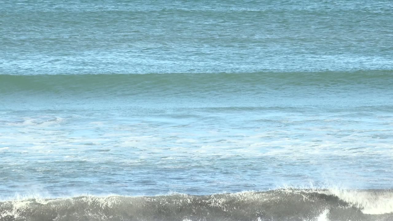 Ocean swell lifting into a darker crest over pale foam.