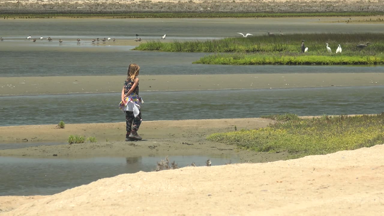 At 0:00 in Guerrero Negro, Mexico, a woman walks near shallow water with pale sand in front, green marsh patches behind, and scattered birds across the wetland.