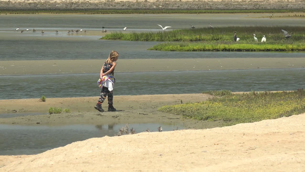 Woman mid-stride along wetland edge with white birds near grassy patches.