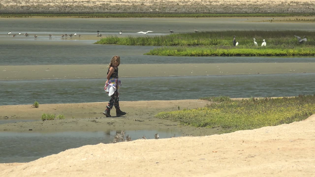 At 0:02 in Guerrero Negro, Mexico, the woman continues rightward while several birds are visible across the water, including white birds in flight above the marsh grass.