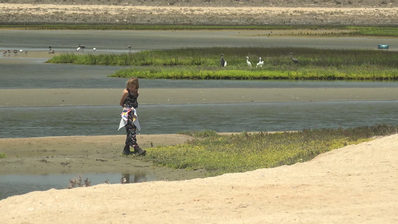 In Guerrero Negro, Mexico, a woman stands at the left side of a sandy wetland edge while shallow water, marsh grass, and distant birds fill the background.