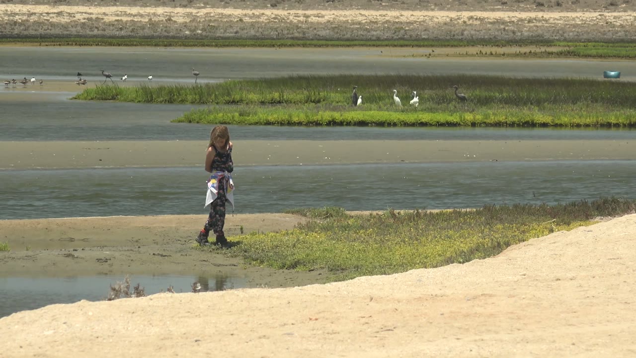 Woman near wetland channel with marsh grass and birds behind her.