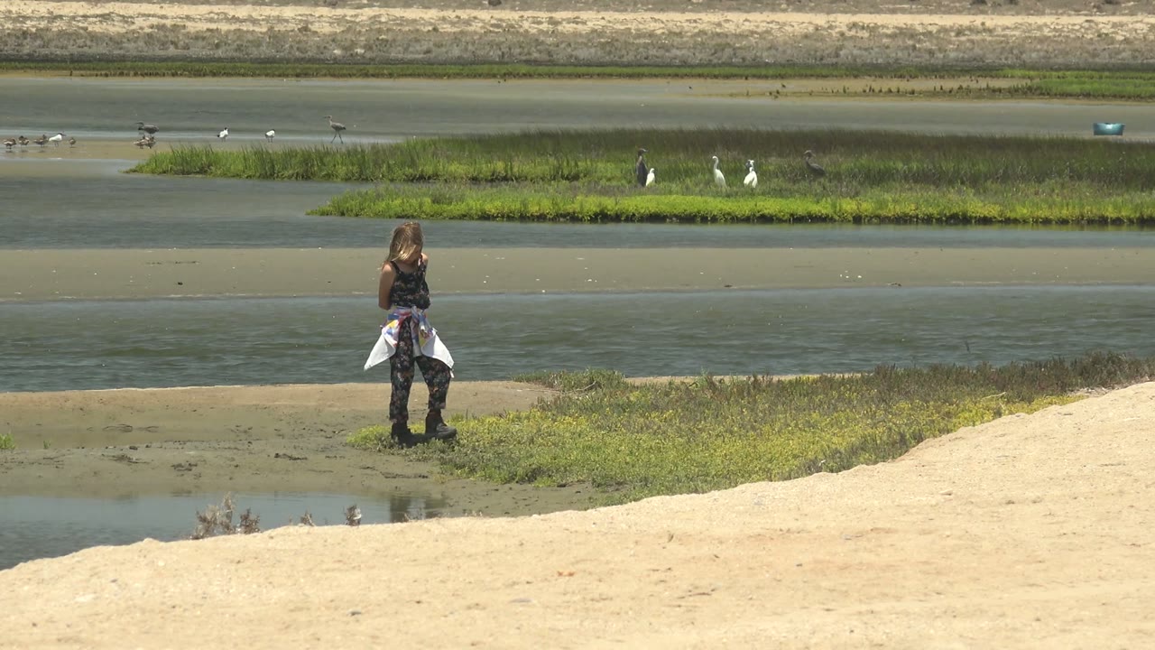 In Guerrero Negro, Mexico, the woman stands closer to the center-left of the frame, with shallow blue-green water in front of her and several birds across the marsh behind.